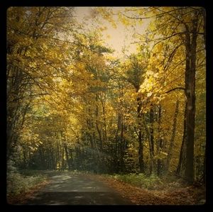 Meet your Posher, Jack